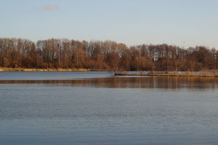 乐鱼vip-“东安湖体育公园迎来跑酷明星，挑战全新极限”