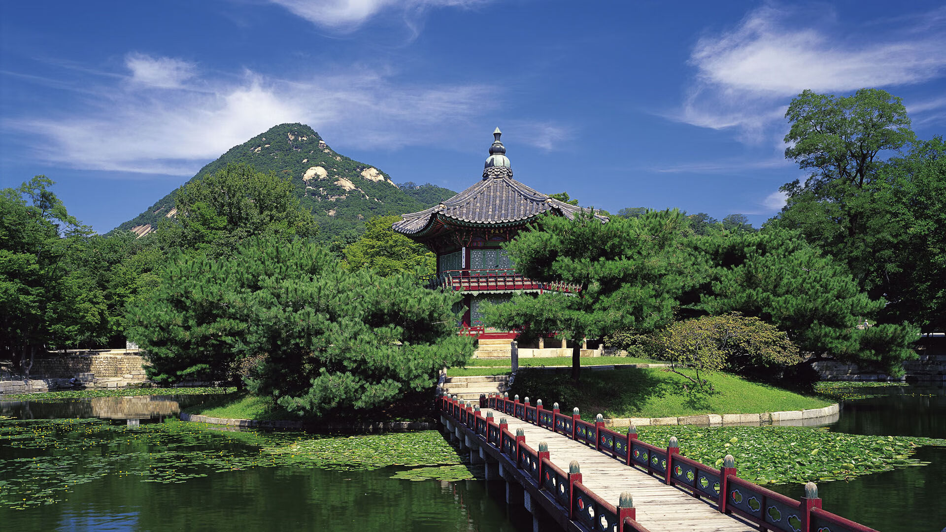 Leyu Sports (乐鱼体育)-中国女篮反击效率成为比赛制胜关键，中国女篮打赢了吗