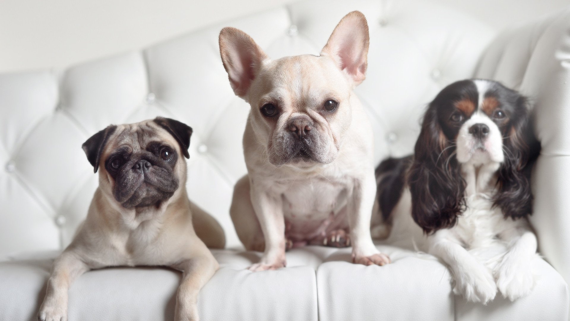 乐鱼体育App下载-中国男篮战术执行精准，中国男篮最新的道具