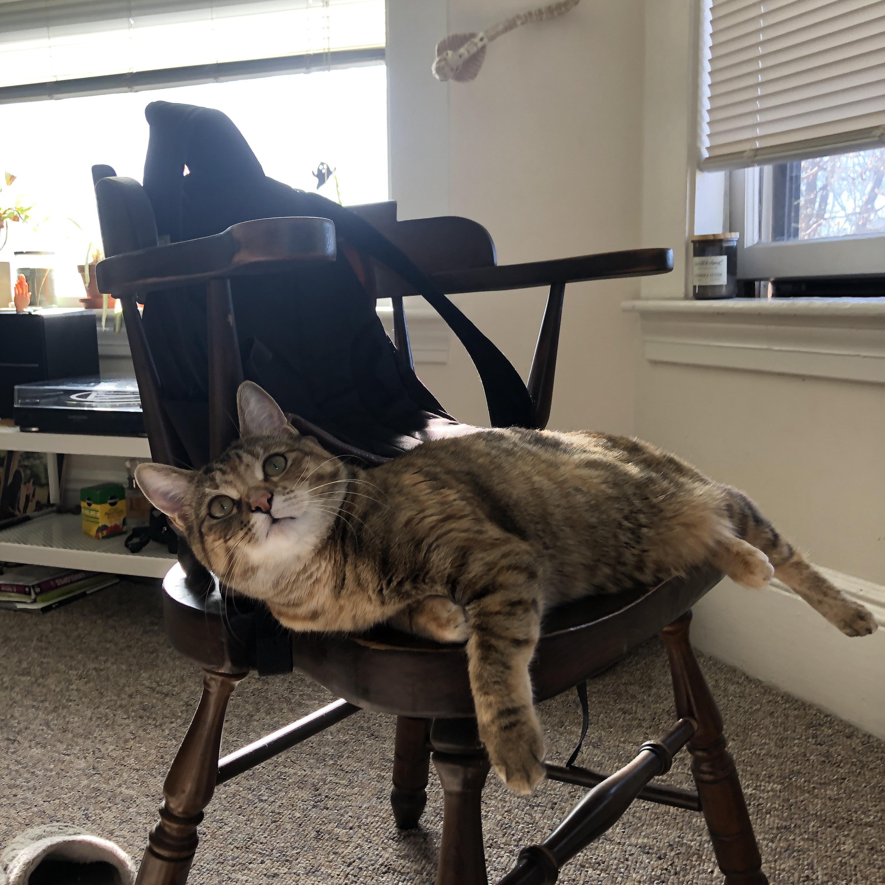 Leyu Sport登录入口-中甲联赛推动职业俱乐部社区共建计划，中甲俱乐部运营费用