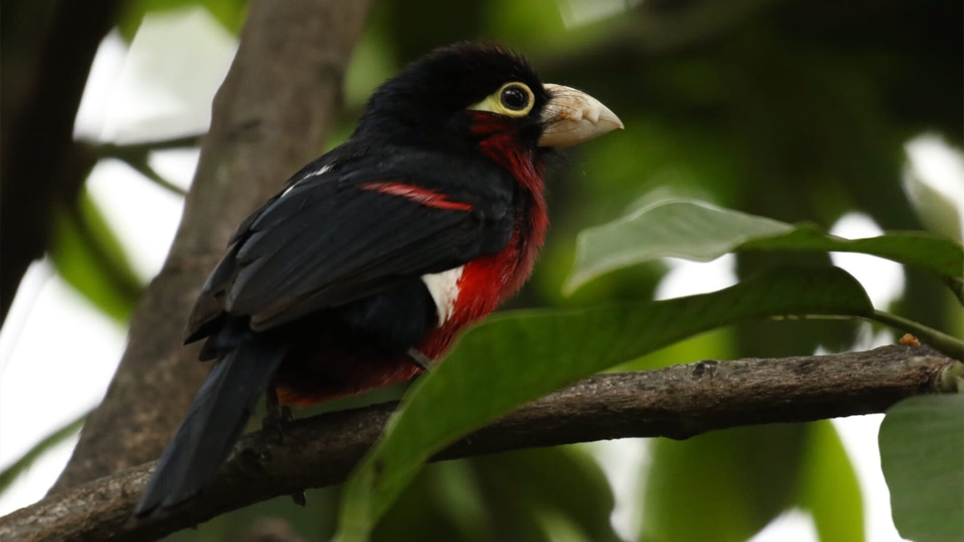 乐鱼体育-亚洲杯国足逆袭 球员拼搏精神赢得尊重，亚洲杯国足小组第一