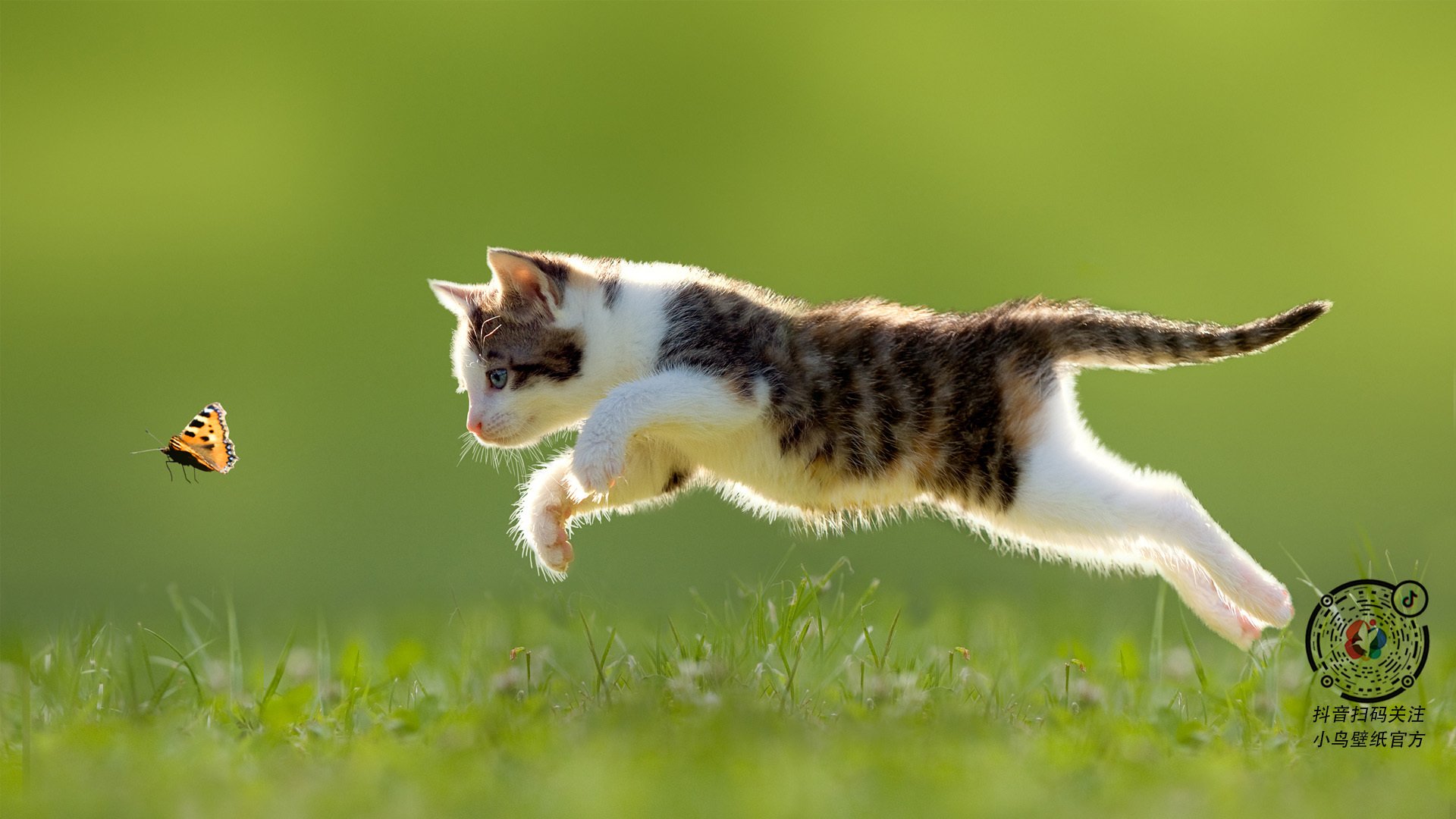 乐鱼电竞在线平台-印度队未来发展：借鉴世界强队经验，突破自我限制，印度队员们