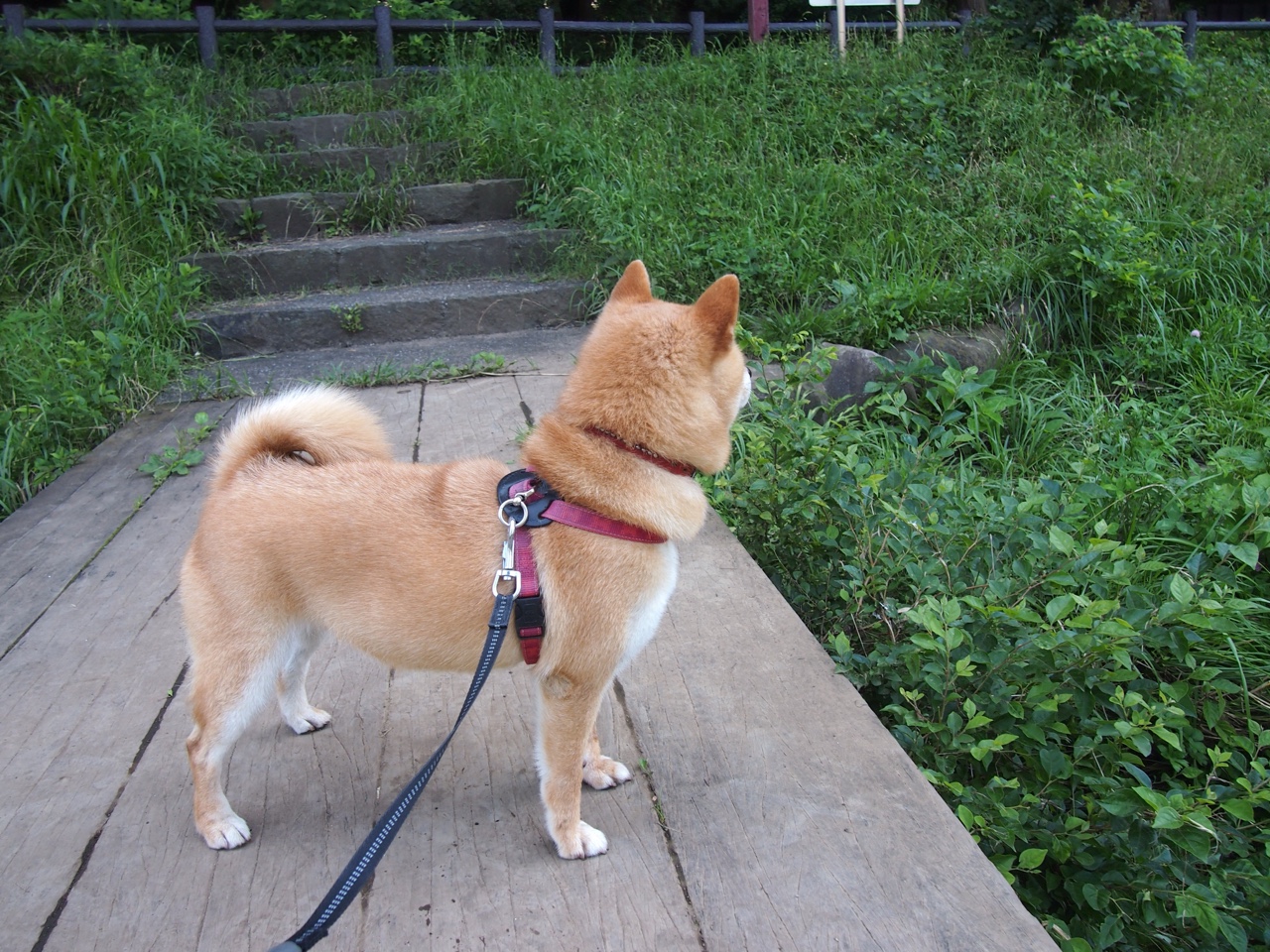 乐鱼体育(中国)官方网站-国际热身赛中国青年队战平 球迷鼓励球队继续努力，热身赛算国家队进球吗