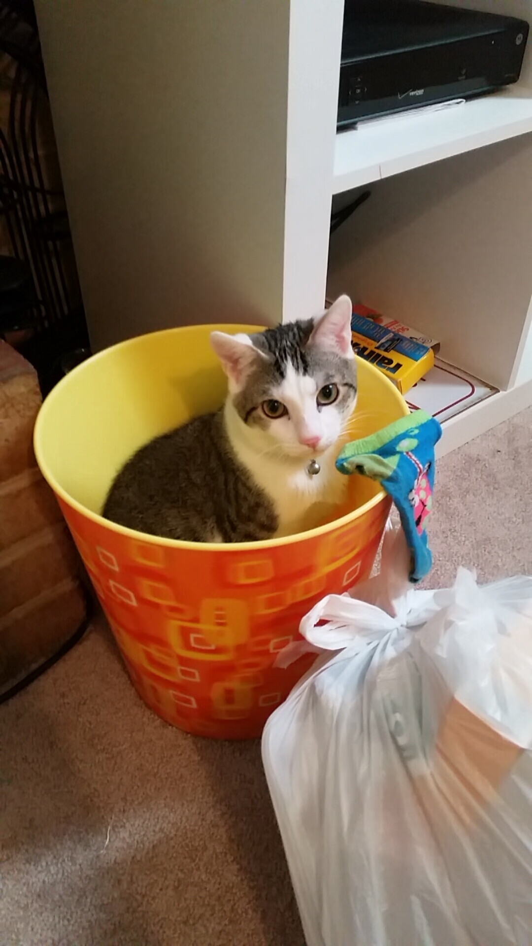 乐鱼体育APP官方下载-基层足球场地资源紧张制约发展，加强社会足球场地对外开放和运营管理的实施方案