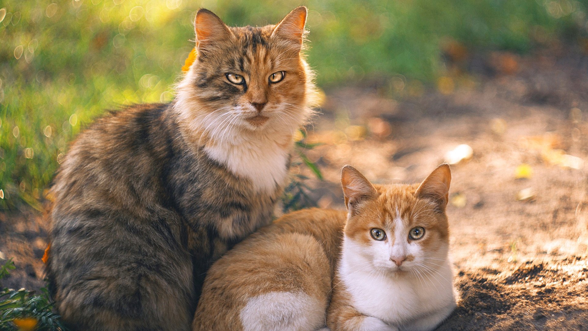 Leyu Sport登录入口-搏击赛前动员大会引导选手关注心理安全，搏击比赛赛前准备