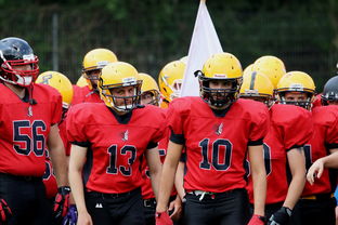 leyu乐鱼-球员伤病防护不足，球员伤病对球员的影响