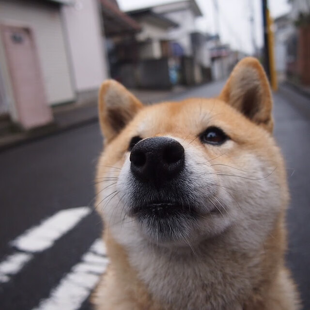 Leyu Sports (乐鱼体育)-男子混合泳决赛德国列第七，男子混合泳亚军
