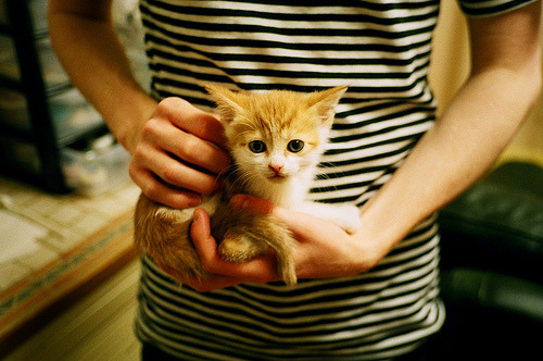 乐鱼电竞在线平台登录入口-中超赛程优化方案出台合理分配高强度对抗场次，中超联赛分析