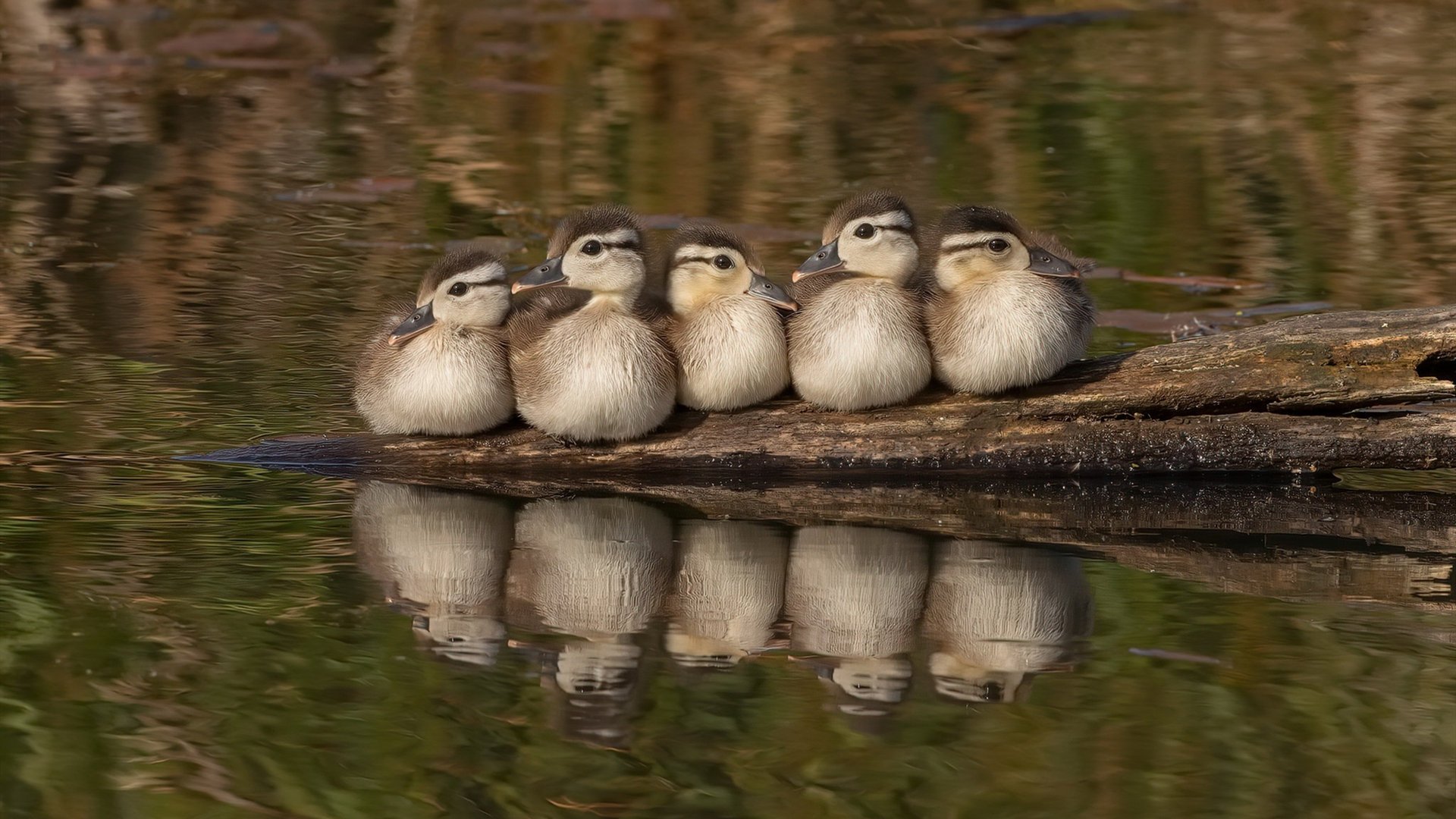 乐鱼官方登录入口-克洛普不断创新战术,带领利物浦冲击更高荣誉