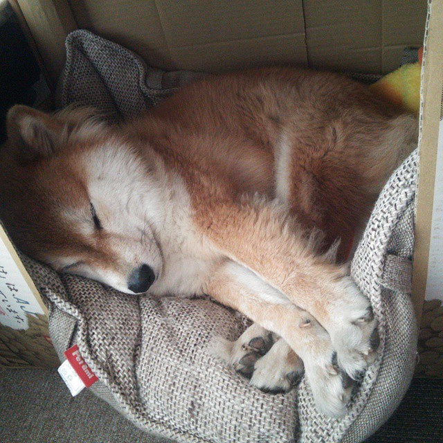 Leyu Sport下载-德国中生代泳将施瓦茨稳中求胜