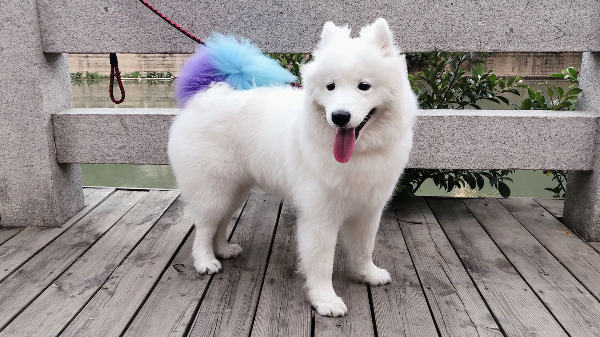 乐鱼官方登录入口-意甲经典瞬间:那些永远值得铭记的精彩,意甲 冠军