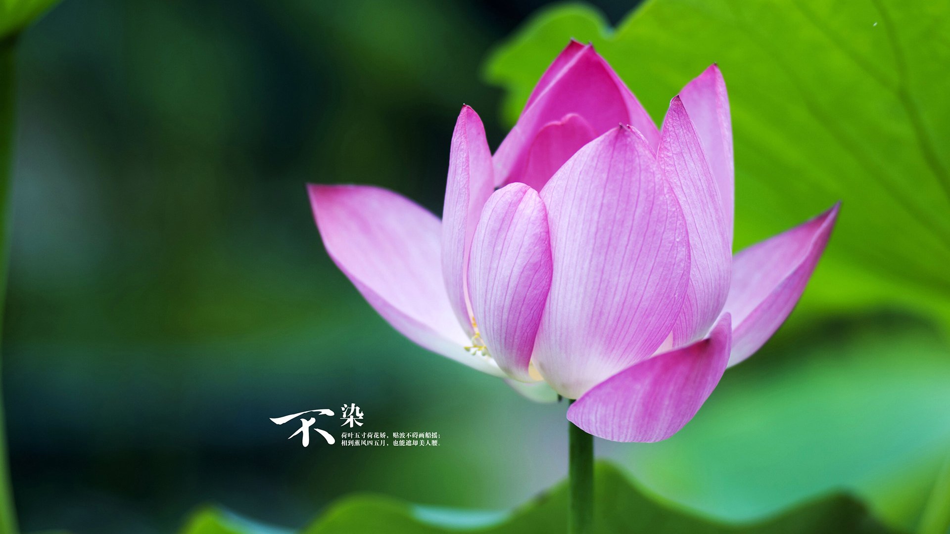 Leyu Sport登录入口-新闻中心报道全国高校体育竞赛开幕安排,全国大学生体育比赛2021