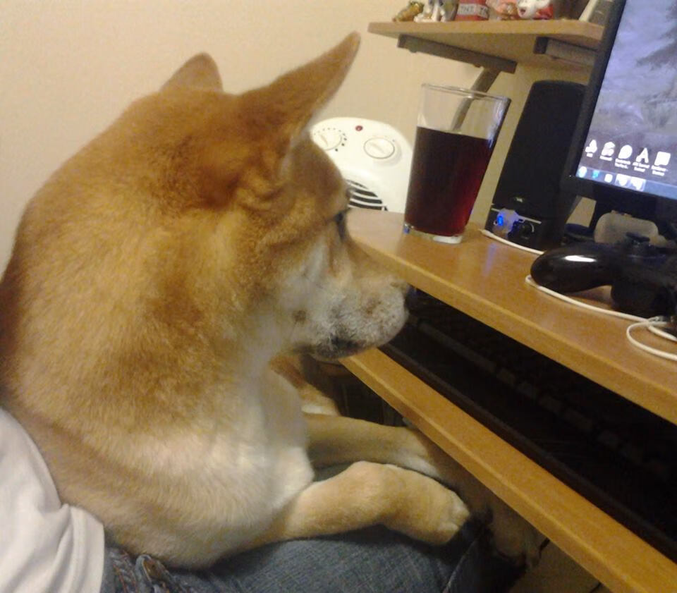 乐鱼（中国）体育官方网站-欧洲杯决战高潮：策略、突破、奇迹！，欧洲杯争议一幕