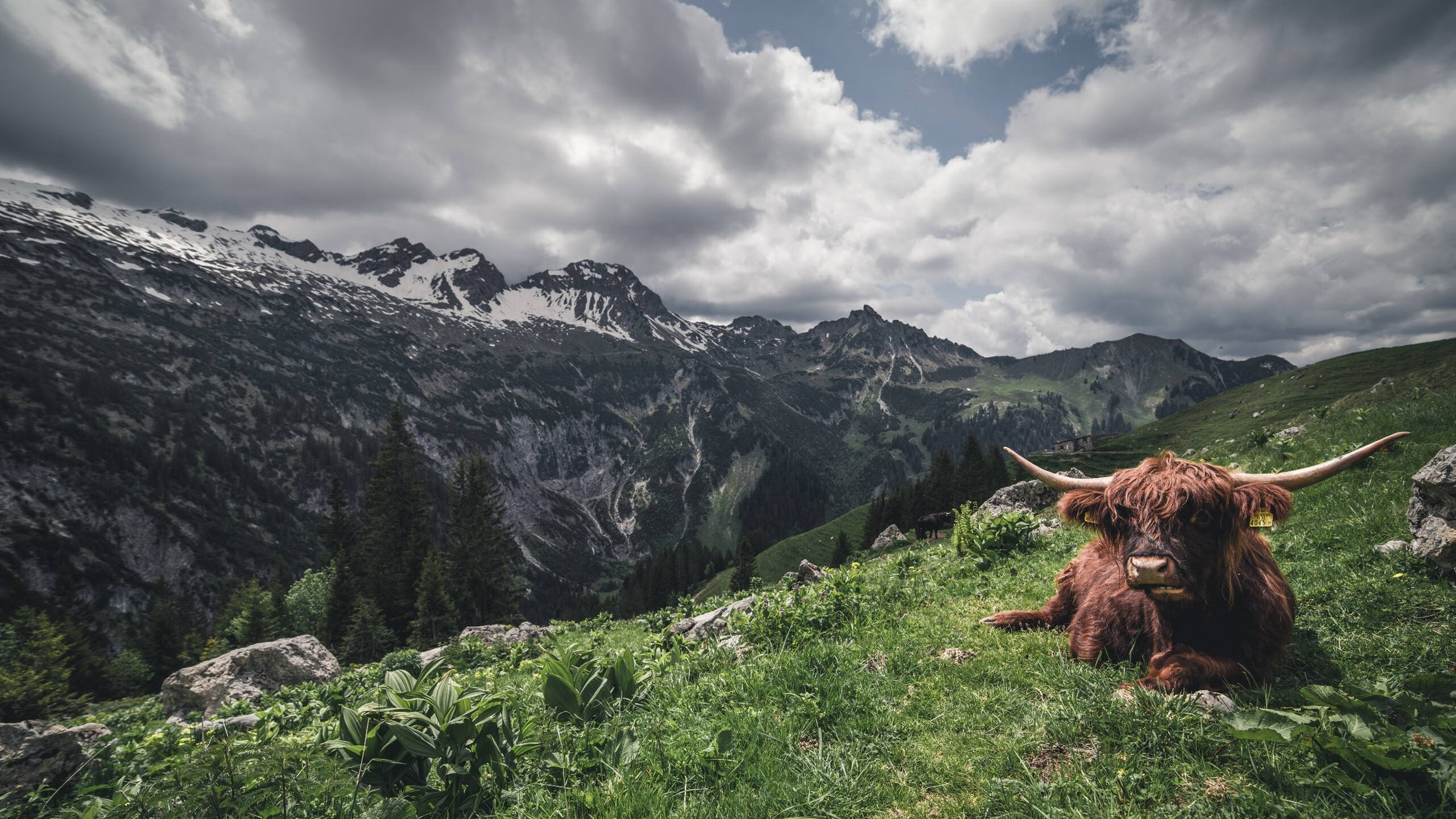 乐鱼体育App下载-法甲未来之星：新秀崛起，赛场闪耀！，足坛未来之星