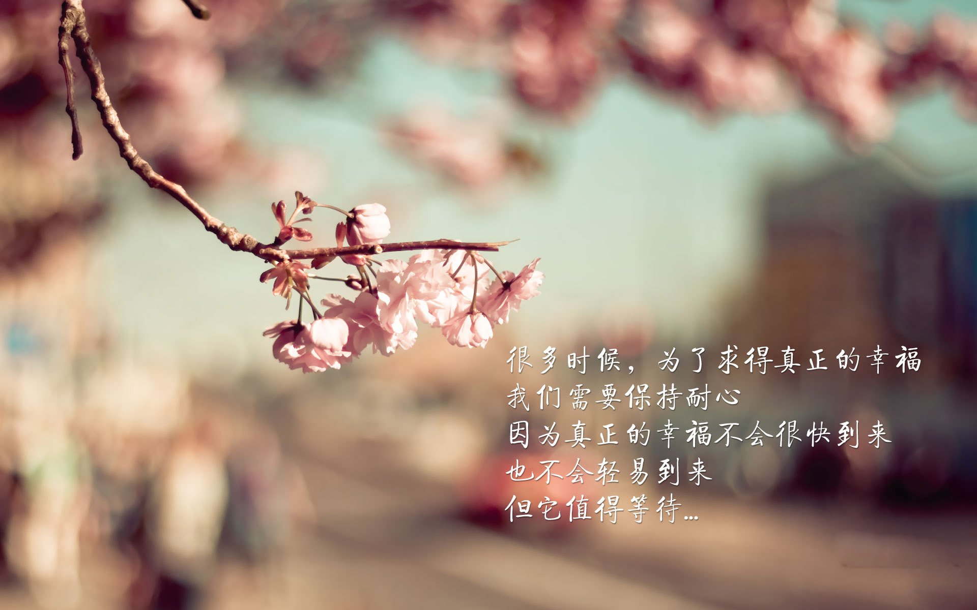 leyu.com-英超白热化：每场比赛都充满看点！，英超热刺别名白百何