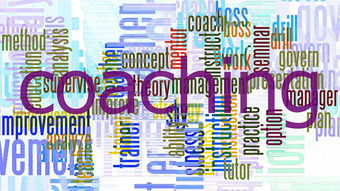 Leyu Sport下载-足球战术板应用程序受职业教练广泛使用，足球战术板board